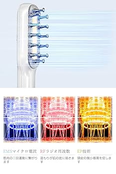 Amazon.co.jp: 電気ブラシ サロン級多機能EMSブラシ 頭皮・顔
